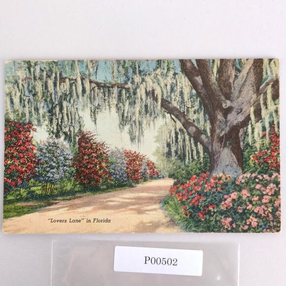 Lover's Lane in Florida 1940s Linen Postcard FL PC 1945 Starke Tropical - Picture 1 of 2